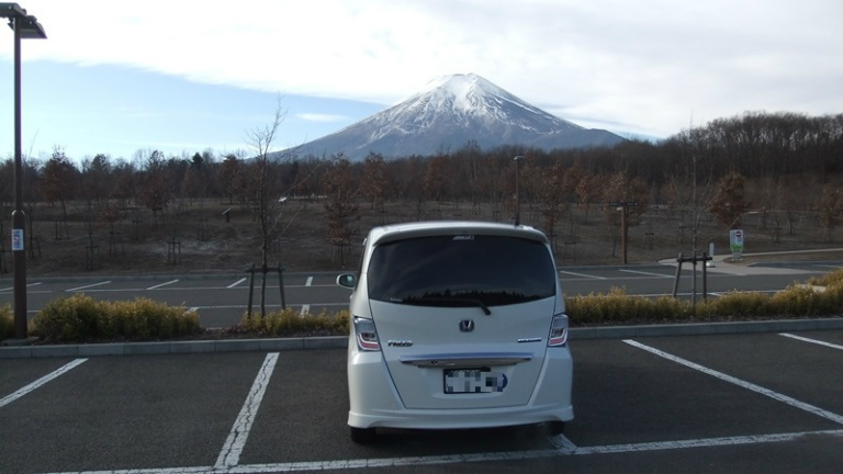 5年目に突入!!今も元気です。