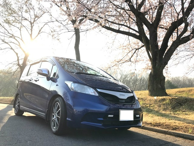 ますます絶好調!