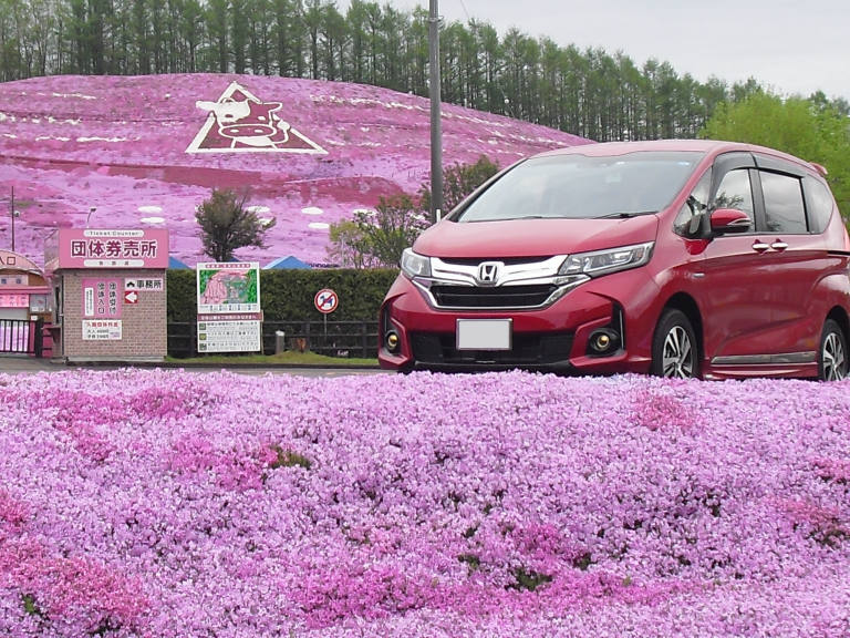 芝桜に負けないレッド