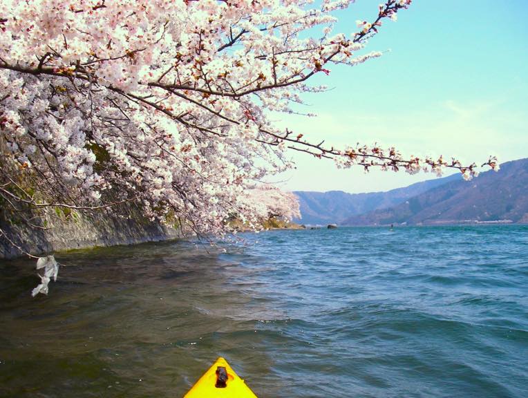 琵琶湖北上桜旅