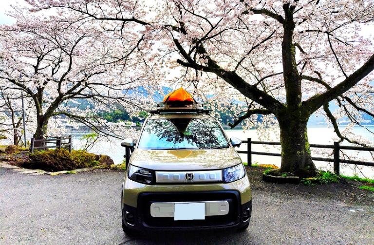 朝日のあたる湖