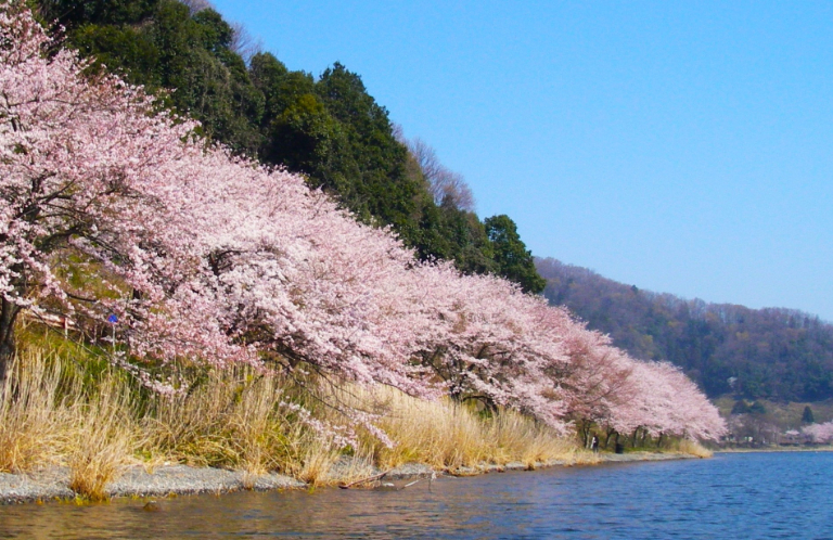 朝日のあたる湖
