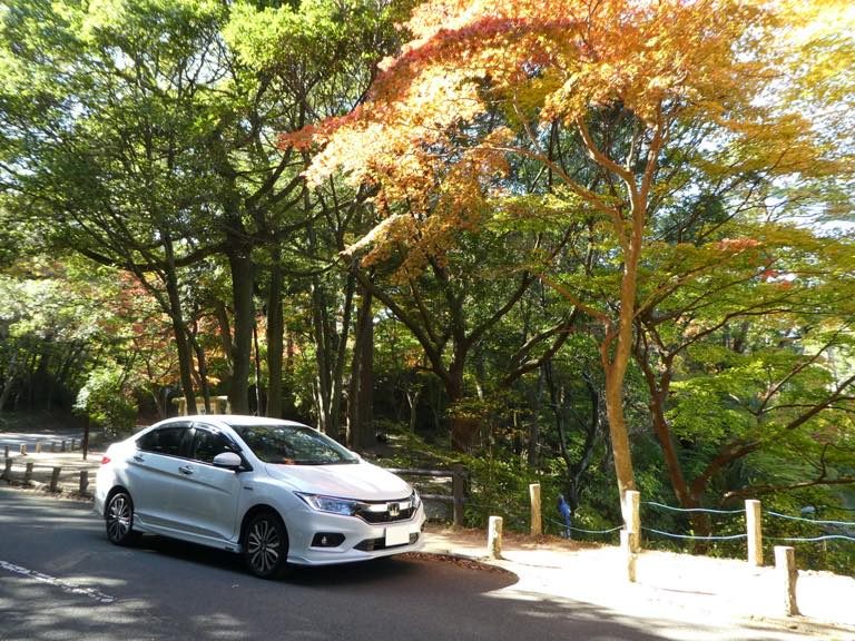 紅葉の再び公園にて