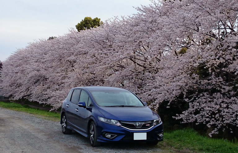 桜色に映えるHondaブルー