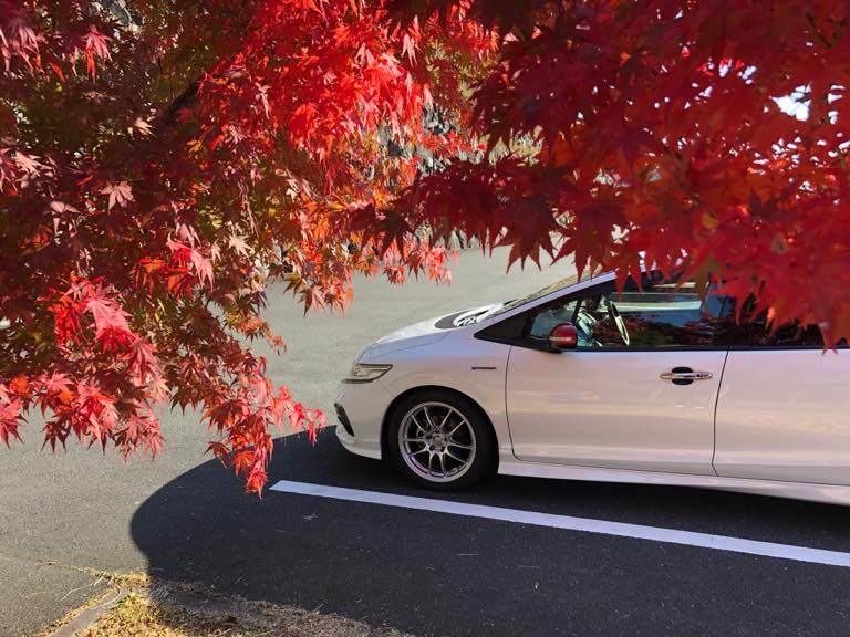 理想に近い車です。