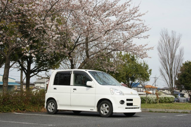 今年も春が来た！