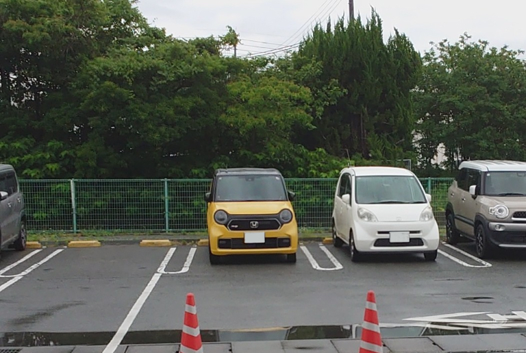 Hondaの生命という車名に浸かっています