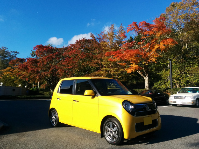 1年経ってもやっぱり気持ちいい