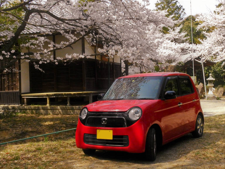 お花見ドライブ