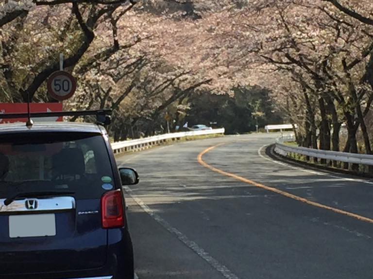 訳あって初めて軽自動車を