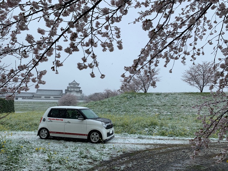 雪桜城