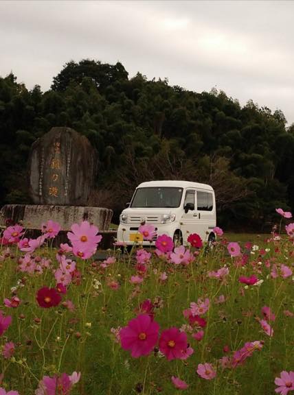 俺のNちゃんと綺麗なお花