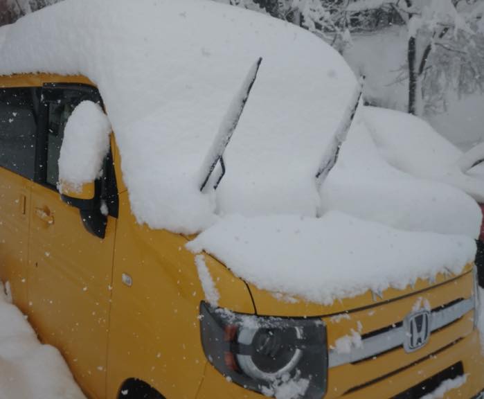 雪に埋もれて。