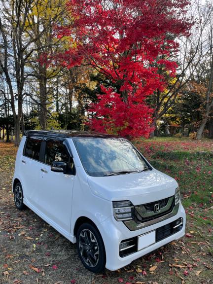 紅葉が綺麗だったので寄り道