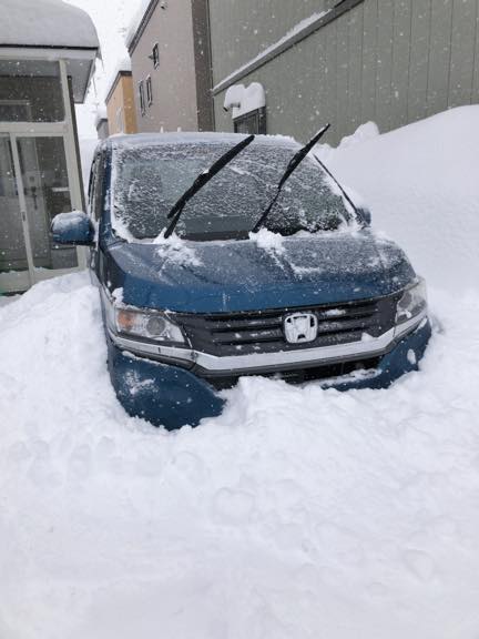 大雪警報の翌日