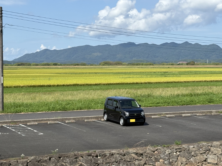かわいい相棒