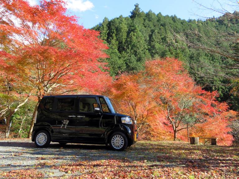 すいすいと山へ