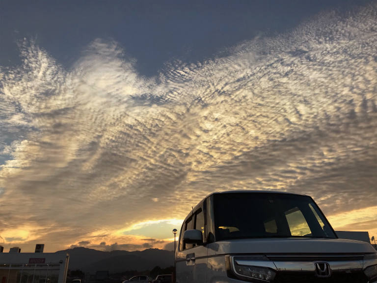 夕空と相棒