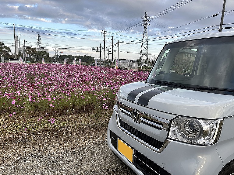 どこにでも出かけられる