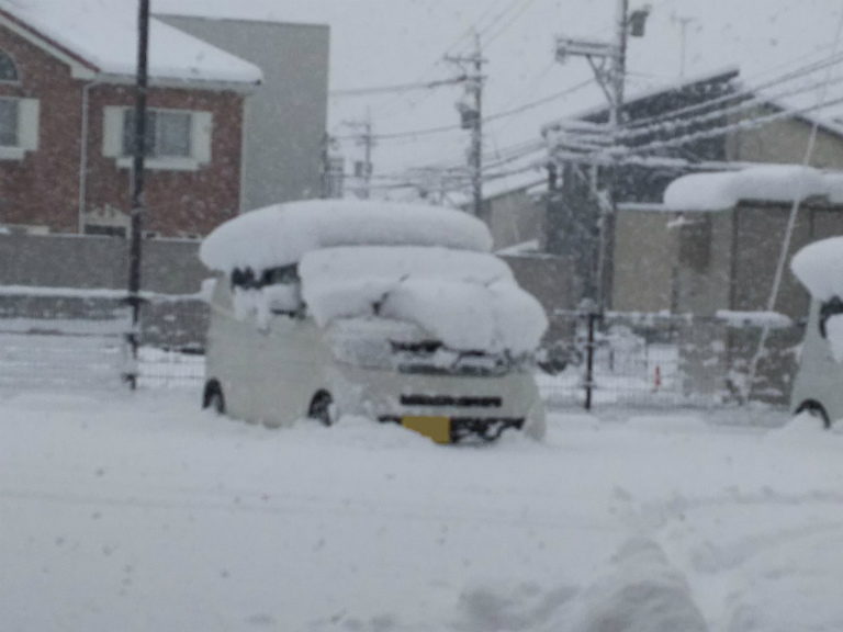 雪に耐えるN／