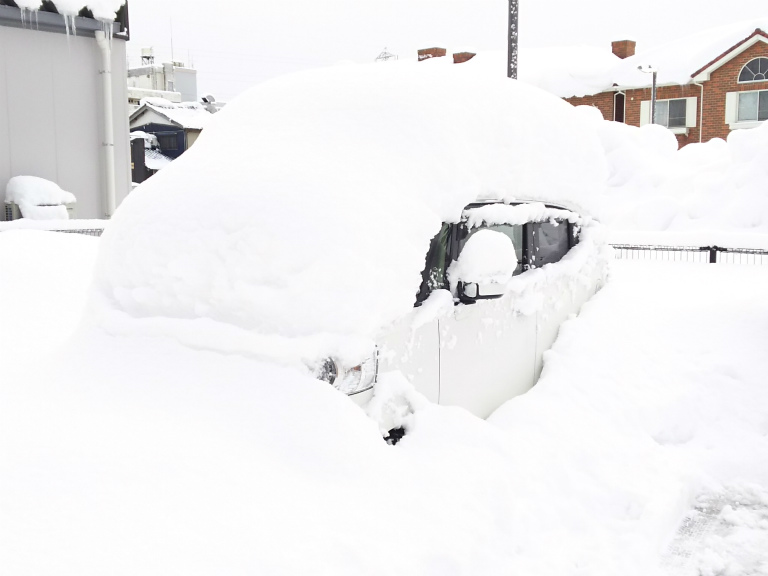 雪に耐えるN／