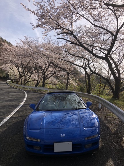 花は桜木