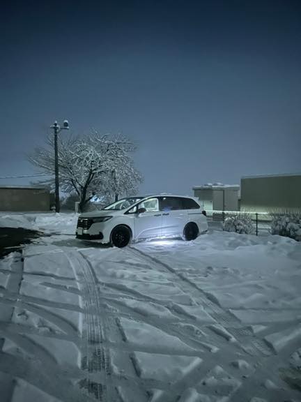 大雪　幻想的