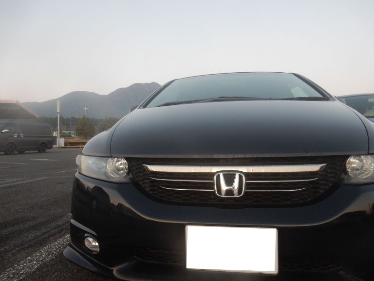 唯一無二の相棒