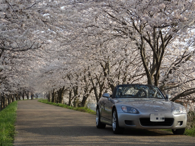 桜とS2000