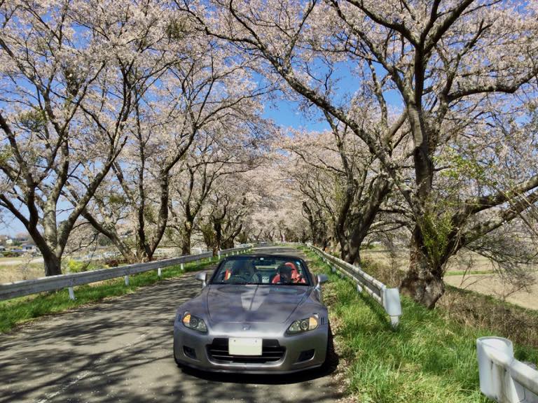 オープンにしてお花見