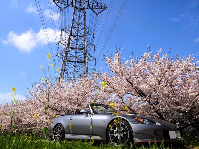 桜とS2000、青空と鉄塔とのカルテット