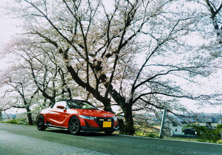 桜を見に気まぐれドライブ