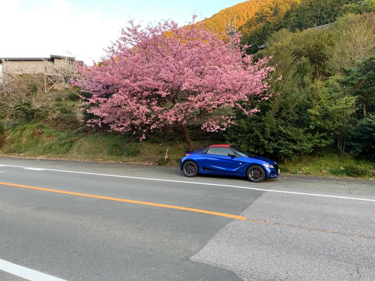 S660と桜