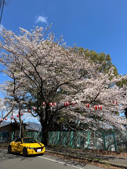 最高の相棒