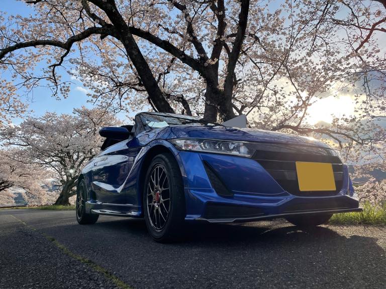 故郷の桜たちと愛車