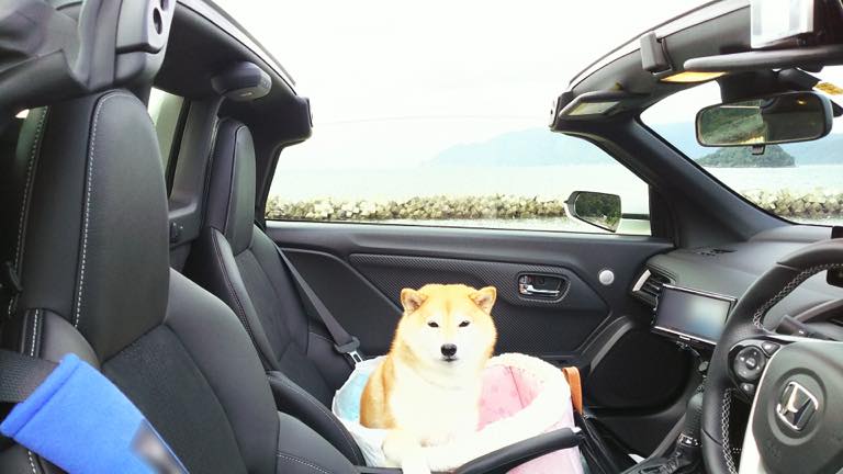究極のセカンドカー