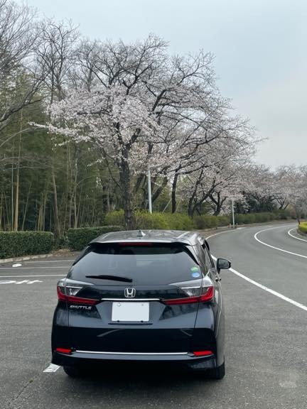 納車から一年　シャトルと桜