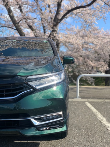 シャトルと桜