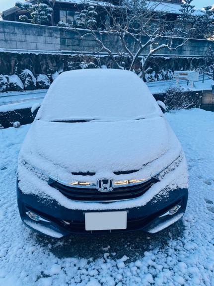 雪にはかないません！