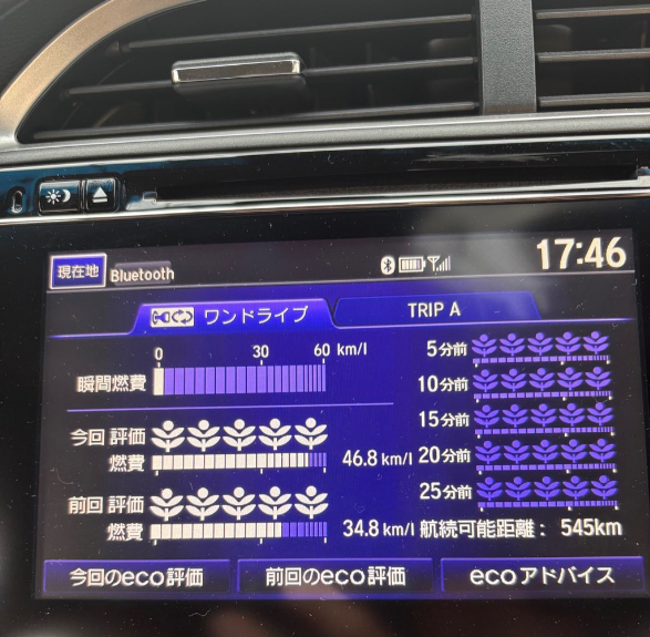 ちょっとクセのある最高の相棒