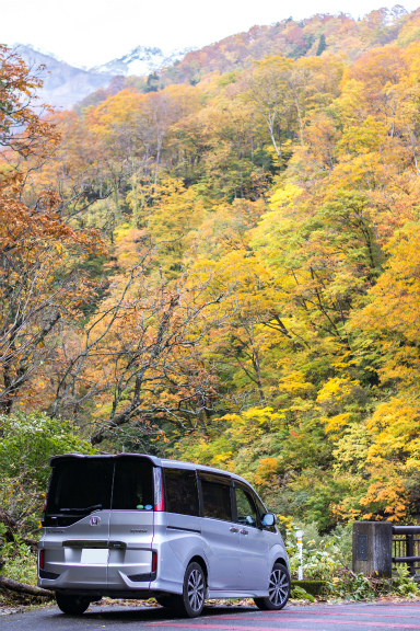 紅葉をバックに