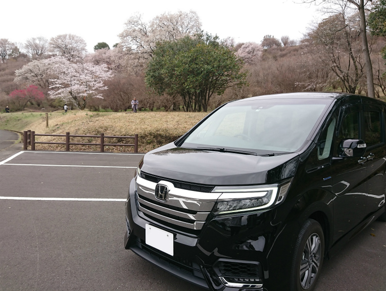 愛車と初めてのサクラ