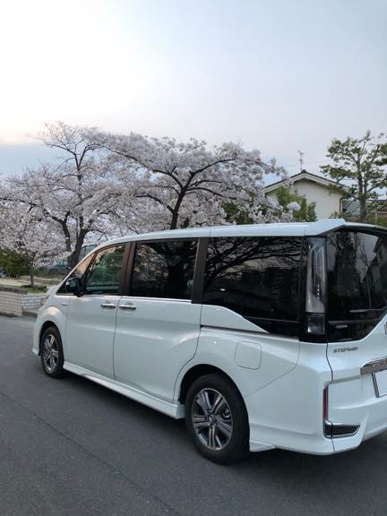 桜と愛車