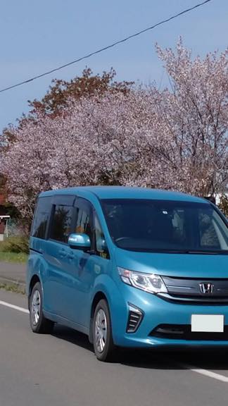 桜と愛車