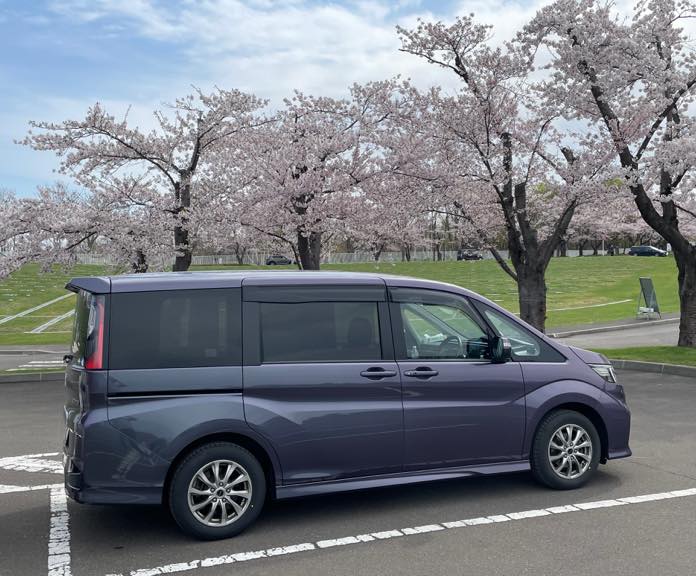 満開の桜の下で