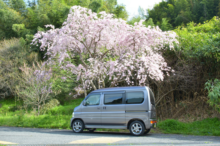 このワクワク感。