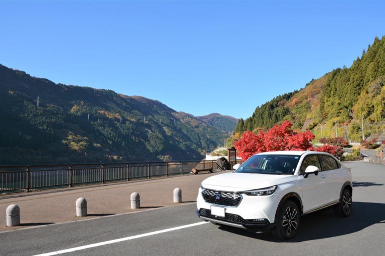 青空と紅葉とヴェゼル