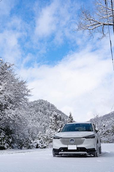 雪中の強い味方