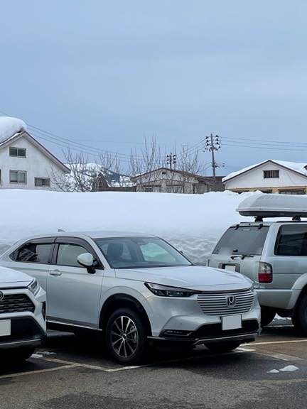 雪山に連れて行ってくれたヴェゼル