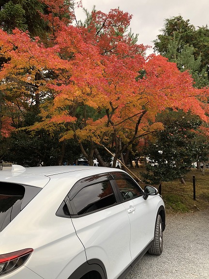 車中泊しながら京都まで
